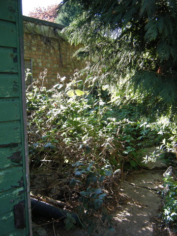 dscf5075.jpg